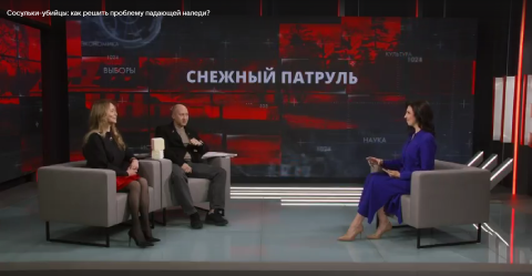 Сосульки -убийцы: как решить проблему падающей наледи?